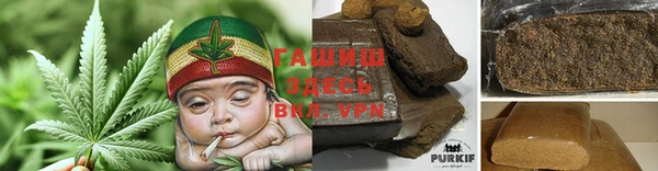 гидра Арсеньев