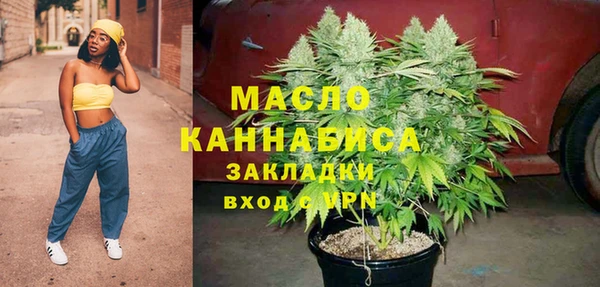 гидра Арсеньев