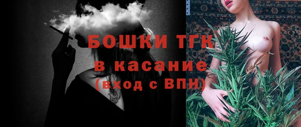 гидра Арсеньев