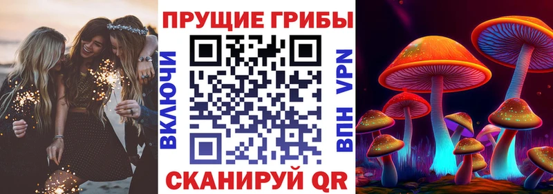 площадка телеграм  где продают   Теберда  Псилоцибиновые грибы GOLDEN TEACHER 