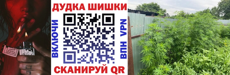 купить наркотик  Теберда  Конопля гибрид 